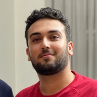 Ali Nasr