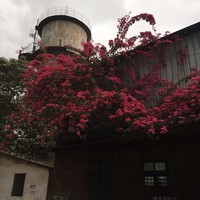 向海清
