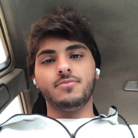 Sultan Ali