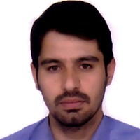Seyed Mostafa Telgerdi