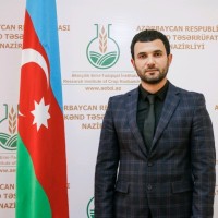 Aраз Багиров