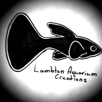 Ian DeBruin LambtonAquariumCreations