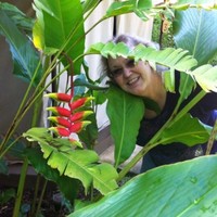 Debra Rushin