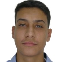Vinicius Assis Da Costa