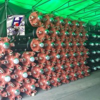 Hj-Axle Sally