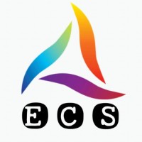 EFFICIENT CONSULTANCY SERVICES