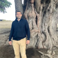 Miguel Garabato Hernández