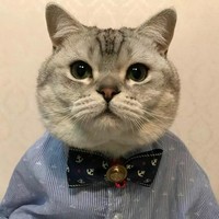 陈惠杰