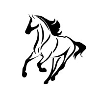 Black Stallion Media