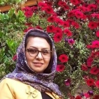 Zinat Shams