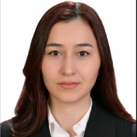 Deniz Birdal