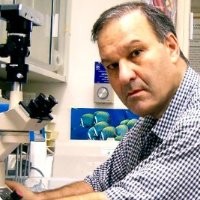 Raphael Gorodesky, Phd