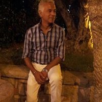 stefano rebato