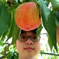 王維新