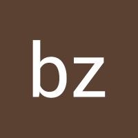 Bz Vz
