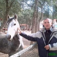 Nadir Khelifi