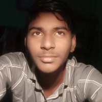 Biharibadshah King