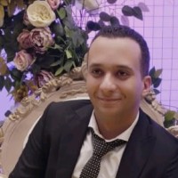 Amer Mostafa