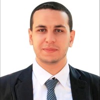 walid eid elnaggar
