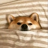 丁文兵