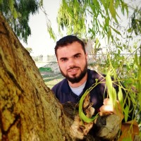 Mohammed Al-bardaweel