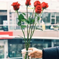 علا المعداوي