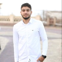 Eisa Elsayed