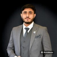 Muhammad Irtaza Hussain