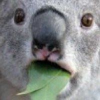 徐忠伟