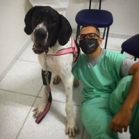 Davy de Oliveira Carvalho