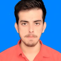 Muhammad Usama Anwar