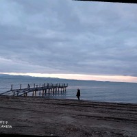 Gülnihal Güneş Tanrıkut