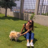 Hossam Yaser
