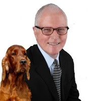 Michael Patrick Solan