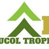 FUCOL TROPICAL TIMBER