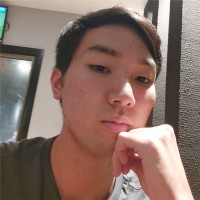VICTOR HIDEKI SHIMADA FERREIRA