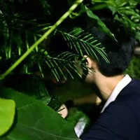 李启兵