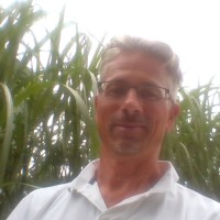 Heinz Mulitzer