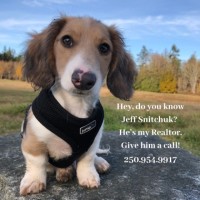 Jeff Snitchuk Prec
