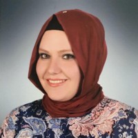 SERAP ŞAHİN