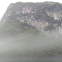 陈泽江