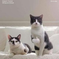 Muhammad hafiz Yusoff