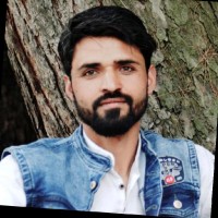 Malik Rayees
