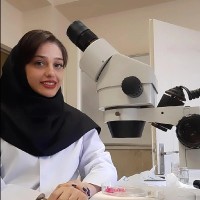 Elham Rezvani
