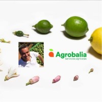 Luis Antonio Losana Nicolás