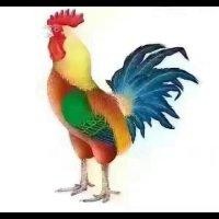 吴秀明