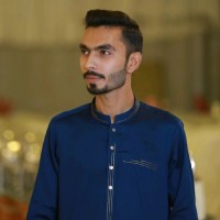 Muhammad Hussain Raza