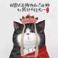 董云飞