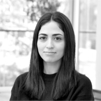 Niloofar Delfani