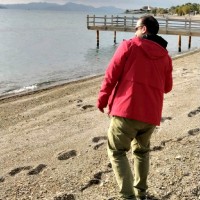 Fırat Sert